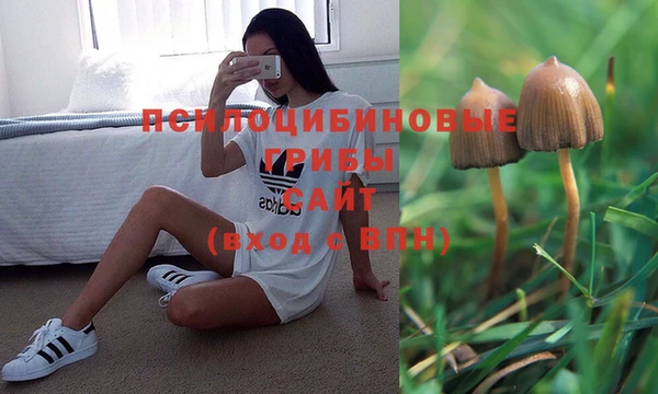 МДПВ Бугульма