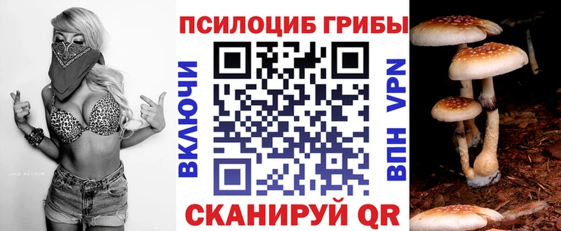 MEGA ONION  Медногорск  Псилоцибиновые грибы мицелий 
