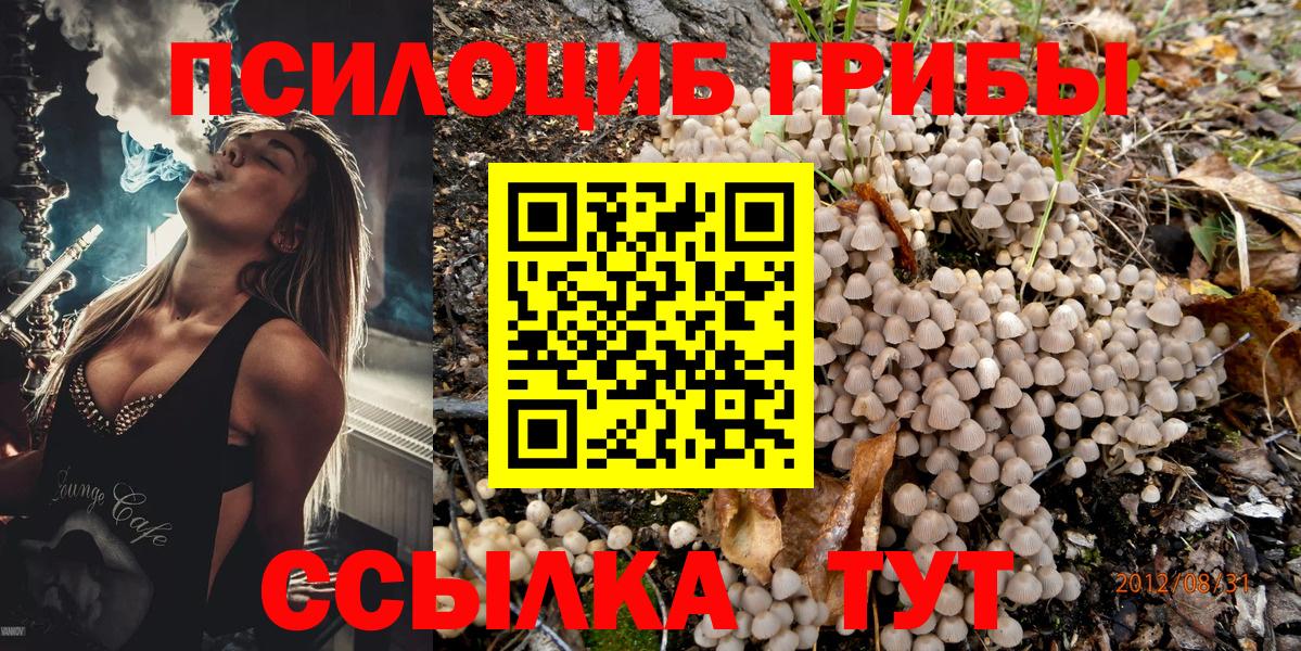 Медногорск  Галлюциногенные грибы прущие грибы  Вход с VPN 