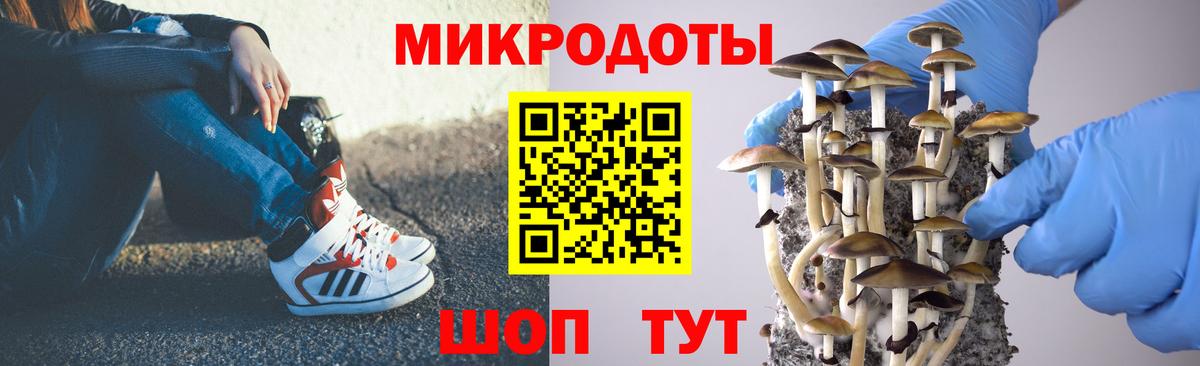 Галлюциногенные грибы GOLDEN TEACHER Медногорск